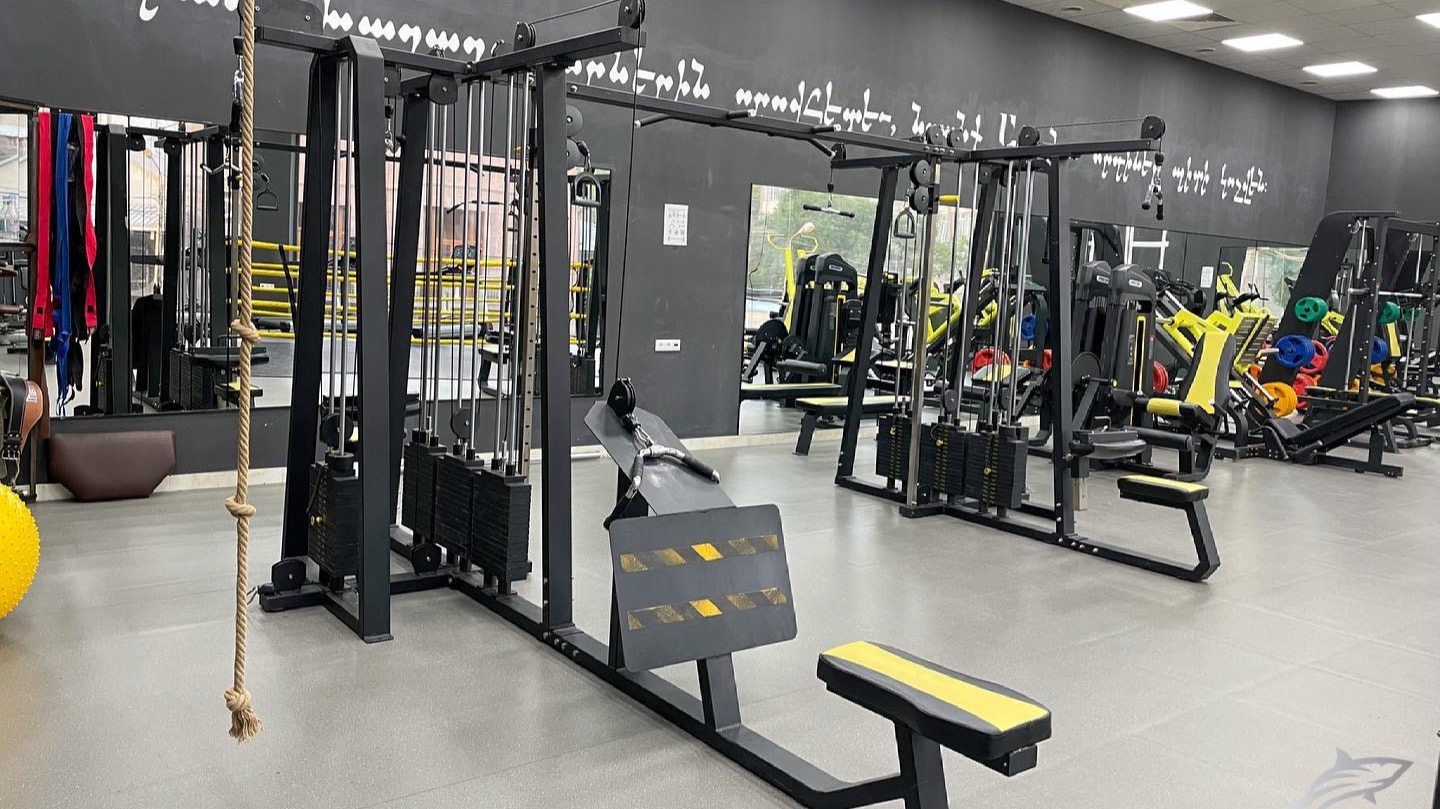 Shark Gym