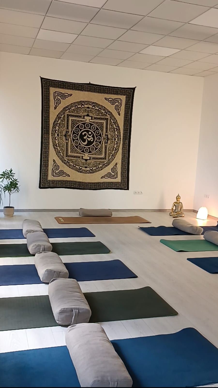 Mehra Yoga