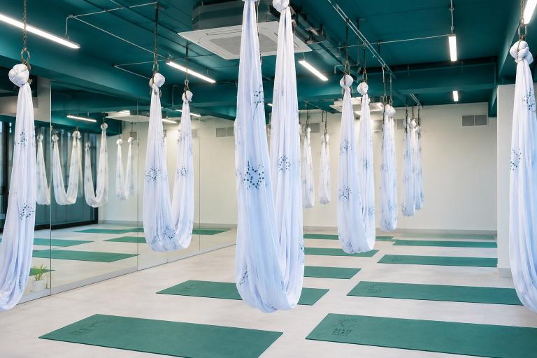 Nikas Place Antigravity